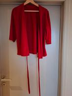 Rode blouse Zara, Kleding | Dames, Blouses en Tunieken, Maat 38/40 (M), Zara, Ophalen of Verzenden, Zo goed als nieuw