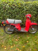 Honda Scopy, Vélos & Vélomoteurs, Cyclomoteurs | Marques Autre, Enlèvement