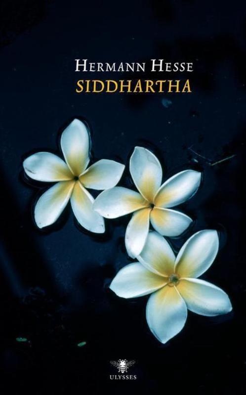 Te Koop Boek SIDDHARTHA Hermann Hesse, Boeken, Romans, Gelezen, Wereld overig, Ophalen of Verzenden