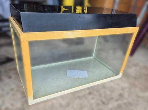 Aquarium met kap, Dieren en Toebehoren, Vissen | Aquaria en Toebehoren, Gebruikt, Ophalen