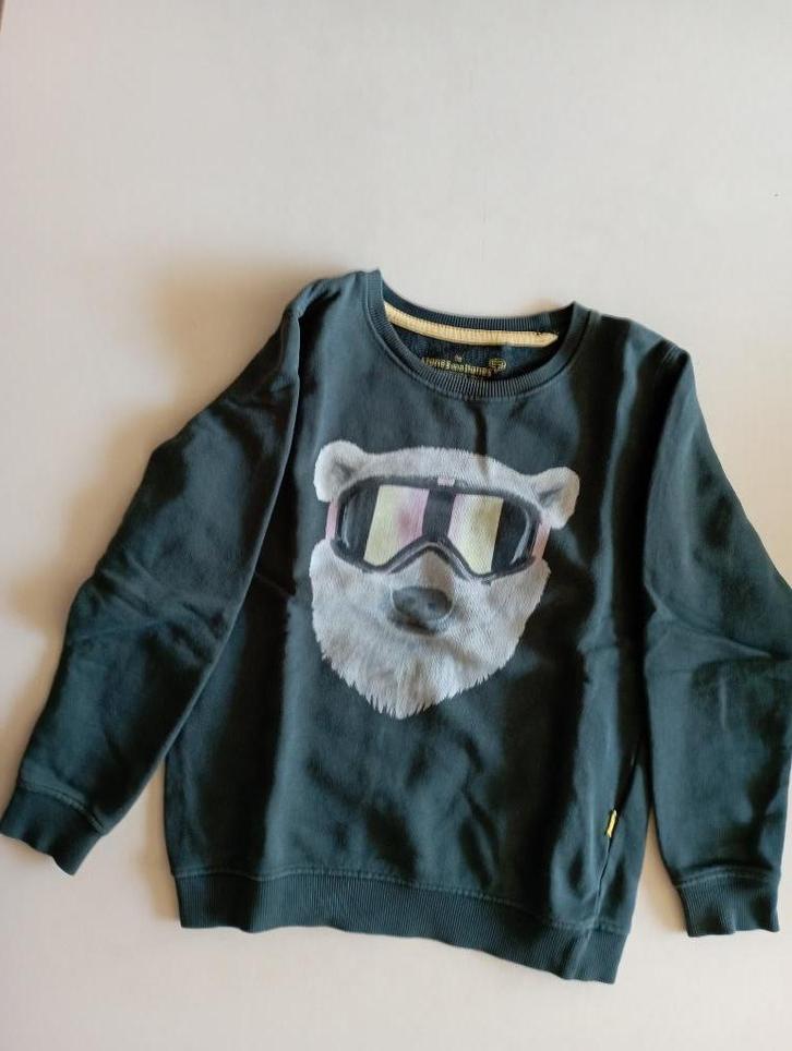 3 MOOIE PULLS + een lange broek maat 116, Kinderen en Baby's, Kinderkleding | Maat 116, Zo goed als nieuw, Trui of Vest, Ophalen of Verzenden