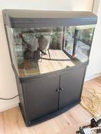 Compleet aquarium, Dieren en Toebehoren, Ophalen, Gebruikt