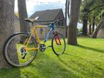 Mountainbike scott, Fietsen en Brommers, Fietsen | Mountainbikes en ATB, Overige merken, Hardtail, Heren, Ophalen of Verzenden