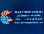 Aquarium sur mesure, Enlèvement ou Envoi