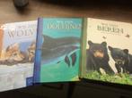 leesboeken-wij zijn dolfijnen-beren-Molly Grooms-nieuw !, Enlèvement, Contes (de fées), Neuf