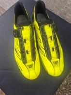 Gaerne race schoenen mt 44, Fietsen en Brommers, Fietsaccessoires | Fietskleding, Ophalen of Verzenden, Zo goed als nieuw, Schoenen