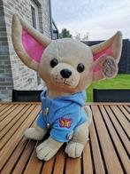 NIEUWE chihuahua Soft Bears By M. M, Kinderen en Baby's, Speelgoed | Knuffels en Pluche, Nieuw, Hond, Ophalen