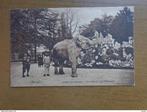 2 postkaarten van de Zoo van Antwerpen, Olifanten, Verzamelen, Gelopen, Antwerpen, Ophalen of Verzenden
