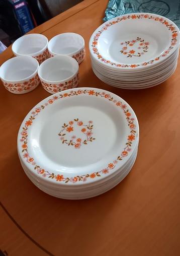 Service Arcopal assiettes+tasses beschikbaar voor biedingen