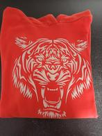 Trui met kap maat 152 en joggingbroek maat 152, Enlèvement, Utilisé, Garçon, Pull ou Veste