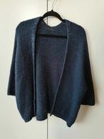 blauwe cardigan met zilveren draadjes, Ophalen of Verzenden, Maat 36 (S), Gedragen, Blauw
