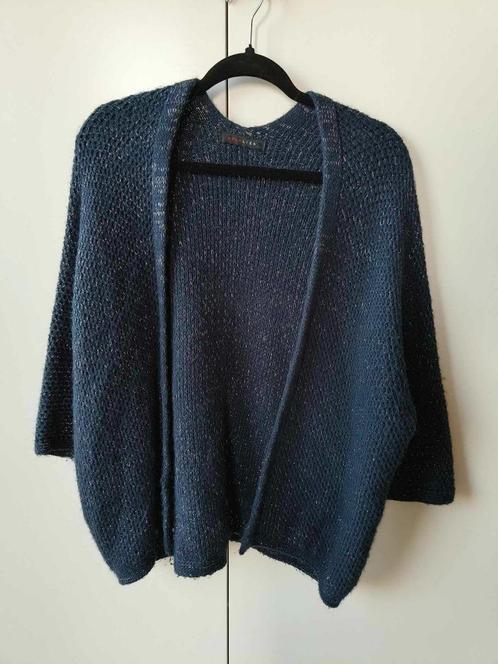 blauwe cardigan met zilveren draadjes, Kleding | Dames, Truien en Vesten, Gedragen, Maat 36 (S), Blauw, Ophalen of Verzenden