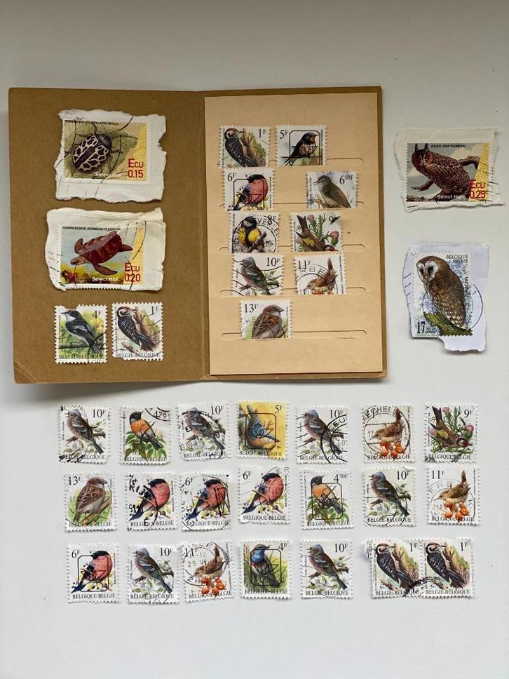 Postzegelverzameling, Timbres & Monnaies, Timbres | Albums complets & Collections, Enlèvement ou Envoi