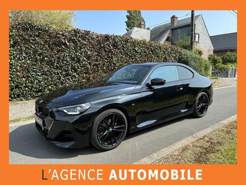 BMW 2 Serie 218 Coupé 218i - GARANTIE 16 M, Autos, BMW, Entreprise, Achat, Série 2, Alarme, Verrouillage central, Rétroviseurs électriques