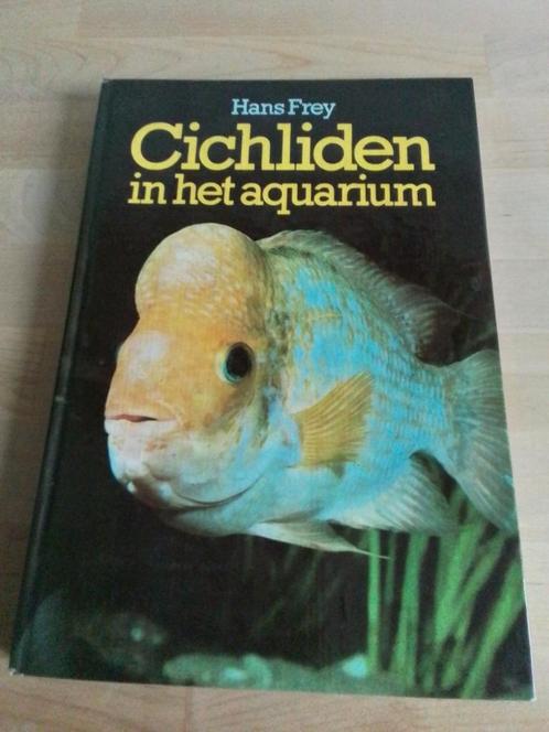 Cichliden in het aquarium, Boeken, Dieren en Huisdieren, Zo goed als nieuw, Ophalen of Verzenden