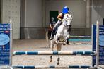 Grote C pony, Dieren en Toebehoren, Ruin