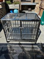 cage pour chien, Enlèvement, Comme neuf