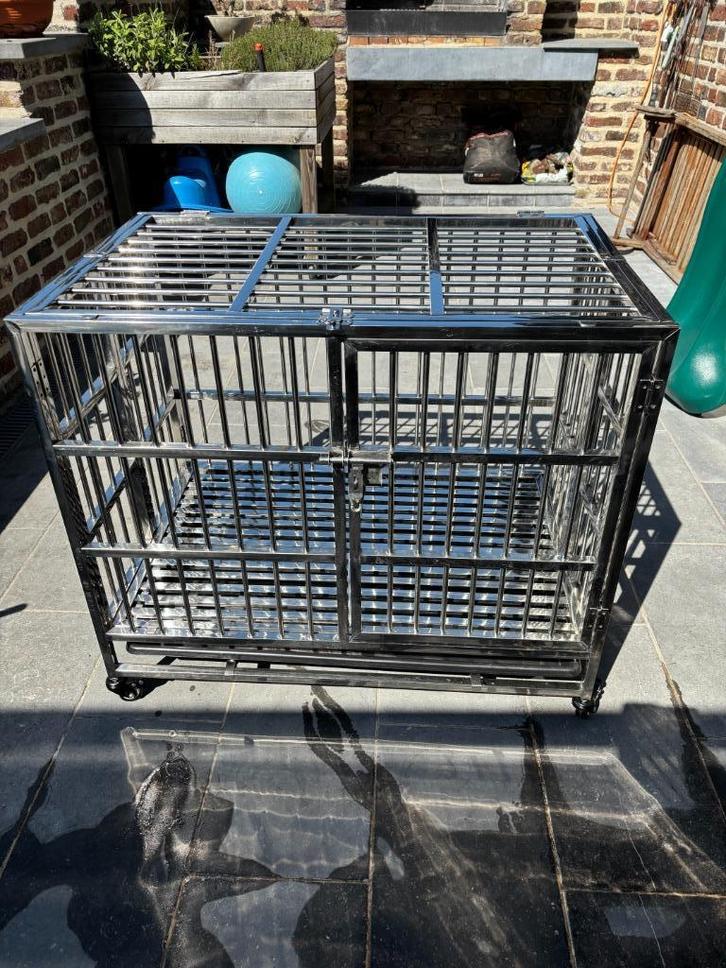 cage pour chien, Dieren en Toebehoren, Transportboxen, Zo goed als nieuw, Ophalen