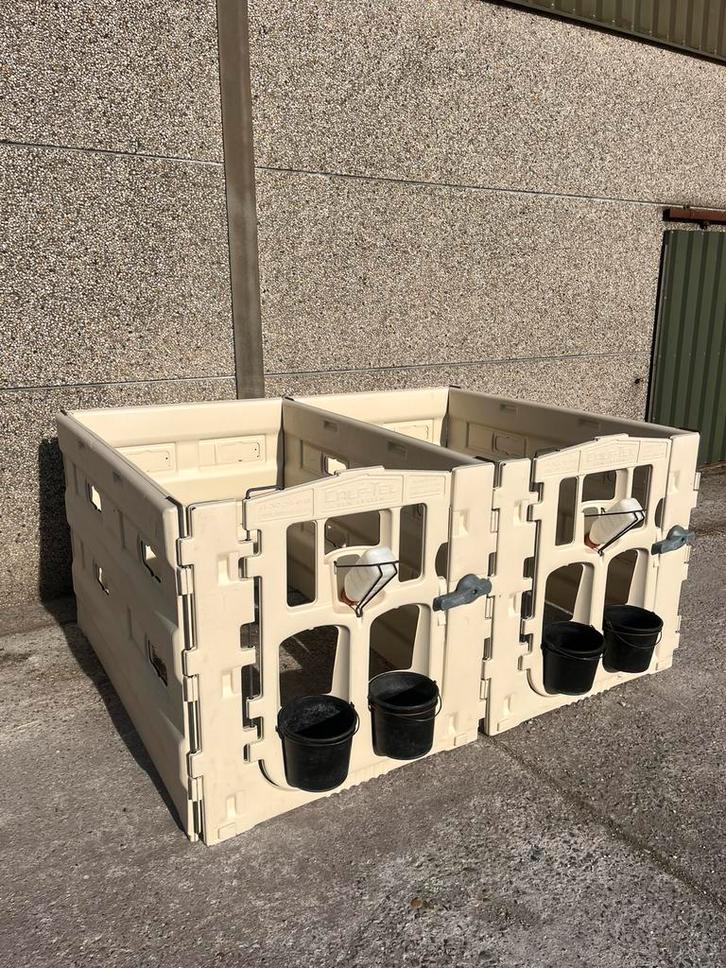 Kalver hokjes / kalveren, Dieren en Toebehoren, Runderen