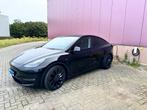 Tesla Model Y Performance 2024, Cruise Control, Achat, Entreprise, 340 kW