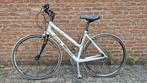 Eddy Merckx damesfiets, Gebruikt, 10 tot 15 versnellingen, 50 tot 53 cm, Ophalen