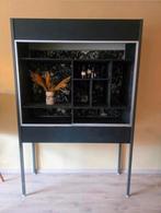 Vitrinekast uit biologielokaal, Huis en Inrichting, Ophalen, Gebruikt