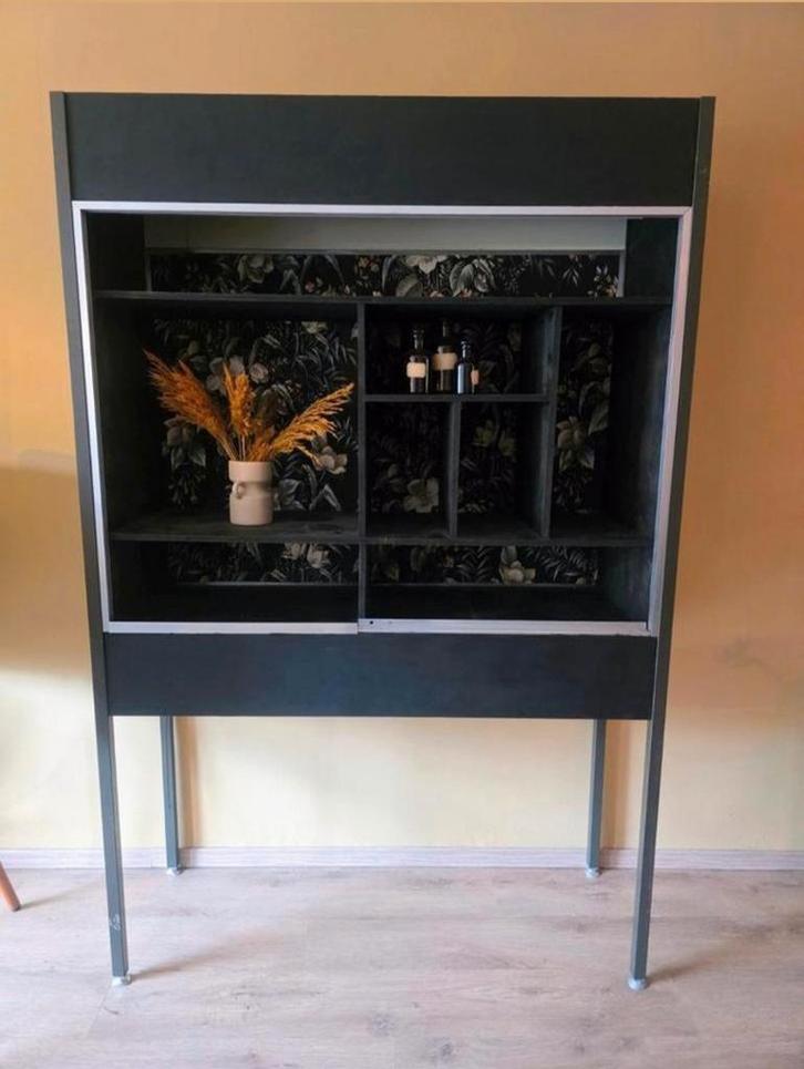 Vitrinekast uit biologielokaal, Huis en Inrichting, Kasten | Overige, Gebruikt, Ophalen