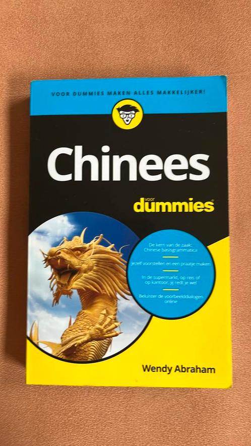 Wendy Abraham - Chinees voor Dummies, Boeken, Taal | Overige Talen, Zo goed als nieuw, Ophalen of Verzenden