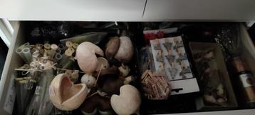 Article pour fleuriste , montage floral, bougie, vases, Noël beschikbaar voor biedingen