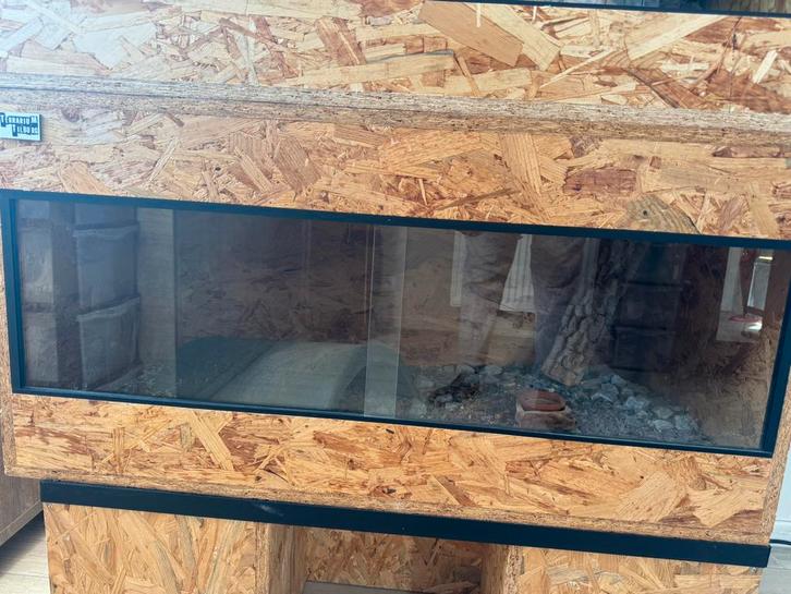 Osb terrarium 100x50x50, Animaux & Accessoires, Reptiles & Amphibiens | Accessoires, Comme neuf, Enlèvement