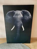 Foto olifant op canvas, Ophalen, 75 tot 100 cm, 75 cm of meer, Print