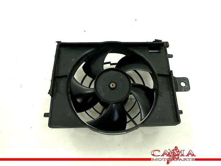 VENTILATOR BMW R 1250 GS Adventure 2019-2023 (R1250GS 19), Motoren, Onderdelen | BMW, Gebruikt