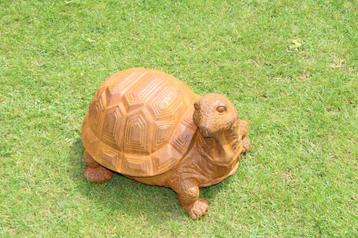 XXL schildpad in roestig gepatineerd gietijzer groot model. beschikbaar voor biedingen