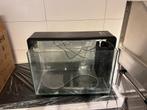 Superfish 60 aquarium, Ophalen, Gebruikt
