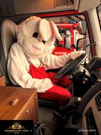 paashaas bezoek, Divers, Pâques, Envoi, Neuf