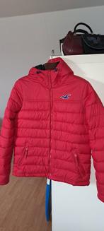 Hollister jas L, Kleding | Heren, Jassen | Winter, Ophalen of Verzenden, Zo goed als nieuw