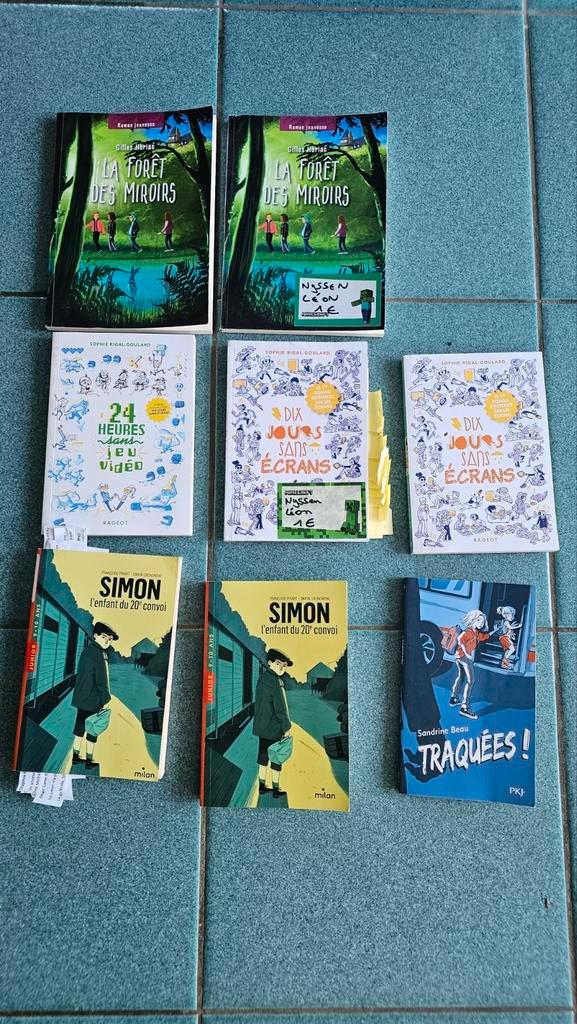 Livre CNDP  ERPENT, Boeken, Advies, Hulp en Training, Zo goed als nieuw, Ophalen of Verzenden