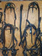 Dubbel span ideal tuig combine, Dieren en Toebehoren, Ophalen of Verzenden