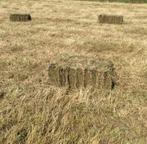 Hooi kleine balen, Enlèvement, Autres espèces