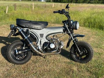 Dax 50 cc, Enlèvement