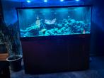 Acquoirriom de 650 litres et une réserve de 40 litres comple, Dieren en Toebehoren, Vissen | Aquaria en Toebehoren, Zo goed als nieuw