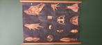 Vintage biologische schoolposter „Kikker”, Ophalen of Verzenden