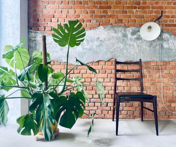 Vintage eetkamerstoelen (4) beschikbaar voor biedingen