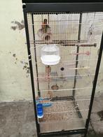 Kooi, Dieren en Toebehoren, Ophalen of Verzenden, Gebruikt, Metaal, Volière