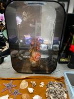 Biorb life 45 aquarium met alle decoratie’s en benodigdheden, Dieren en Toebehoren, Vissen | Aquaria en Toebehoren, Ophalen, Gebruikt
