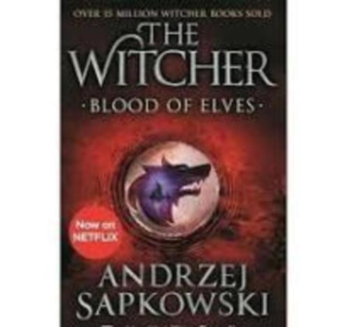 The witcher blood of Elves Sapkowski 315 pages, Boeken, Fantasy, Zo goed als nieuw, Ophalen of Verzenden