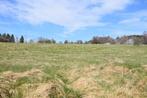 Terrain à vendre à Vielsalm, Immo, Gronden en Bouwgronden, Tot 200 m²