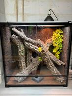 Habistat terra 91x45x91