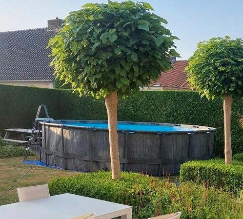 INTEX zwembad greywood, Tuin en Terras, Zwembad-toebehoren, Gebruikt, Ophalen