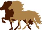 Wie (provincie Antwerpen) heeft er een IJslander?, Dieren en Toebehoren, Paarden